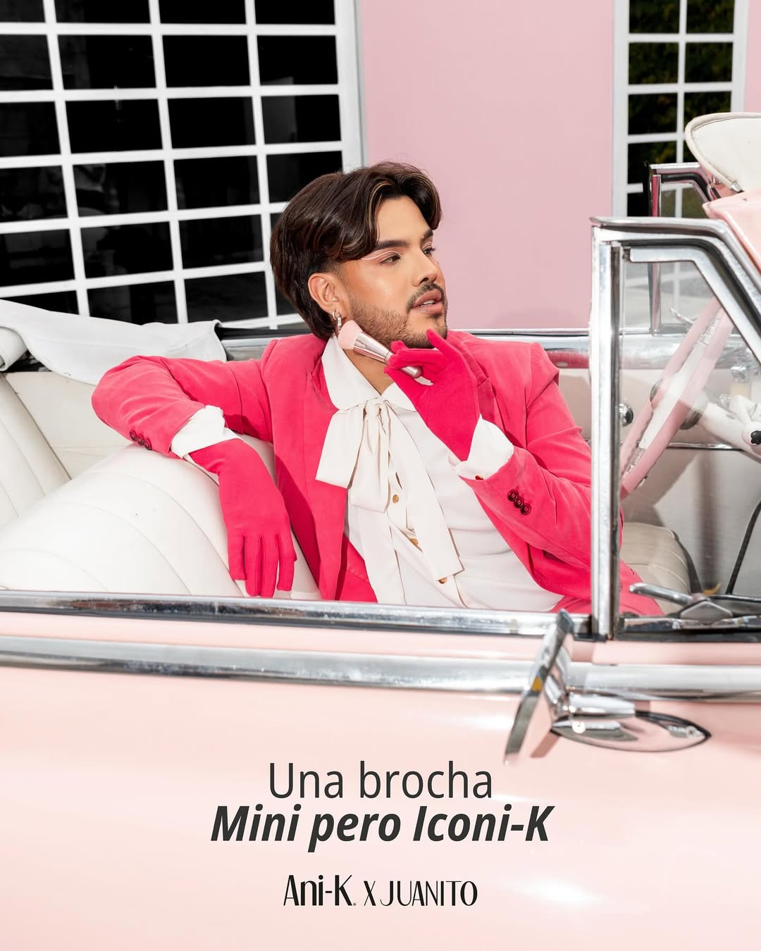 Brocha Ani-k Mini Iconi-K x Juanito