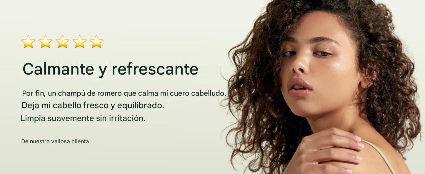Shampoo para descamación del cuero cabelludo Aromatica Rosemary Scalp Scaling Shampoo 400ml