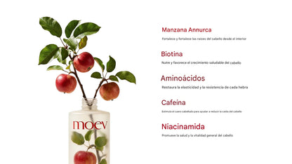 Shampoo fortalecedor y Reparador Moev Annurcatin Shampoo 300 ml