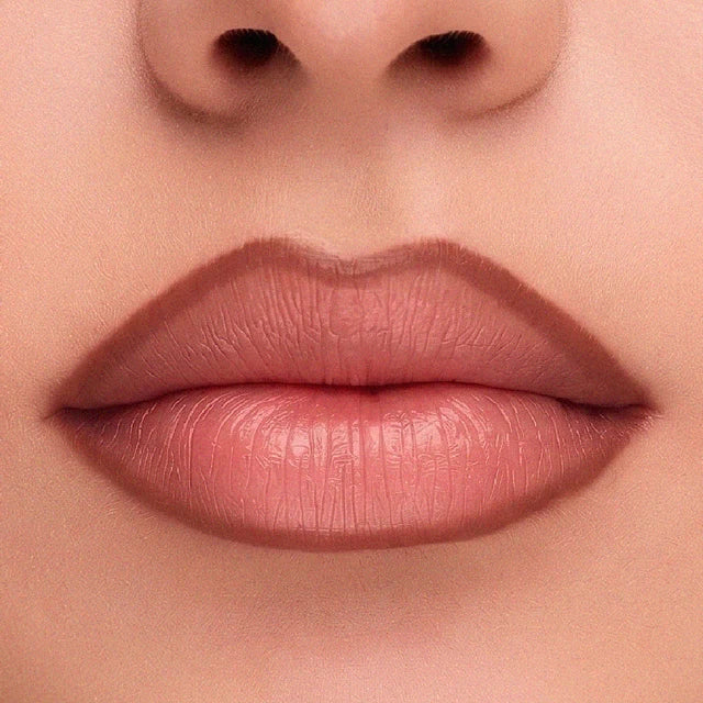 Delineador de Labios en Gel Sublime